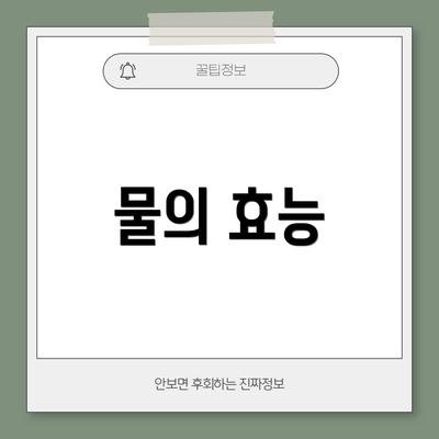 물의 효능