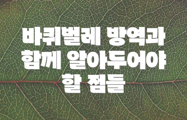 바퀴벌레 방역과 함께 알아두어야 할 점들
