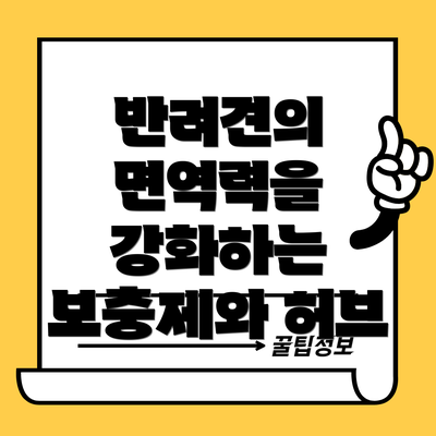 반려견의 면역력을 강화하는 보충제와 허브