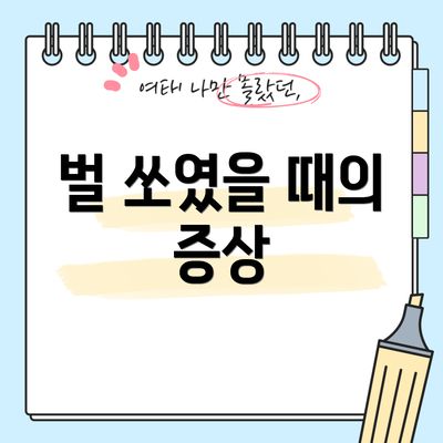 벌 쏘였을 때의 증상
