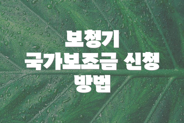 보청기 국가보조금 신청 방법