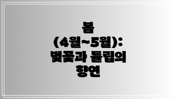 봄 (4월~5월): 벚꽃과 튤립의 향연