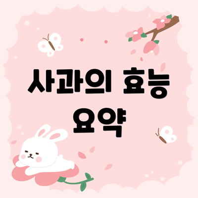 사과의 효능 요약