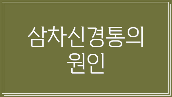 삼차신경통의 원인