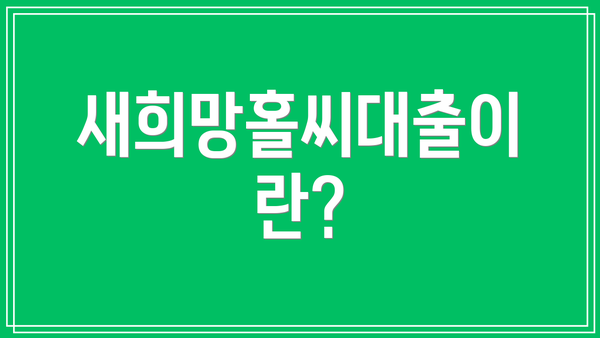 새희망홀씨대출이란?