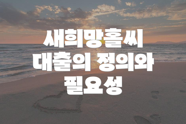 새희망홀씨 대출의 정의와 필요성