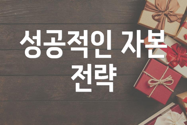 성공적인 자본 전략