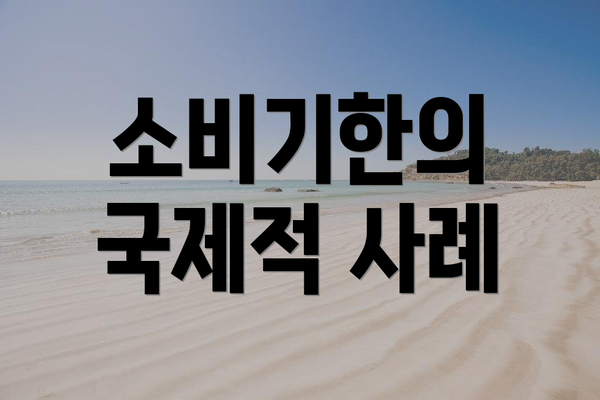 소비기한의 국제적 사례