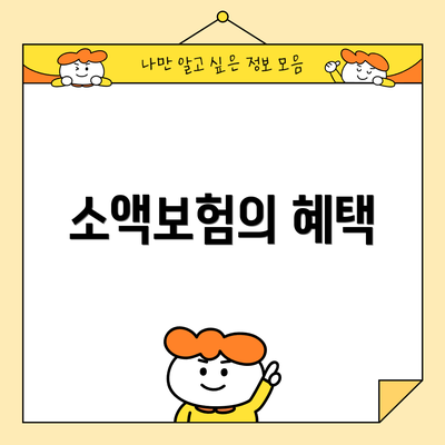 소액보험의 혜택