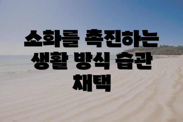 소화를 촉진하는 생활 방식 습관 채택