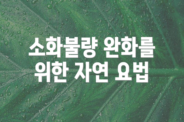 소화불량 완화를 위한 자연 요법