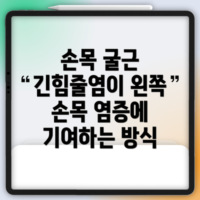 손목 굴근 긴힘줄염이 왼쪽 손목 염증에 기여하는 방식