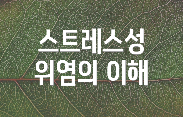 스트레스성 위염의 이해