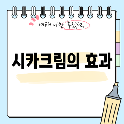시카크림의 효과