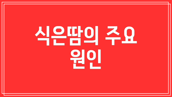 식은땀의 주요 원인