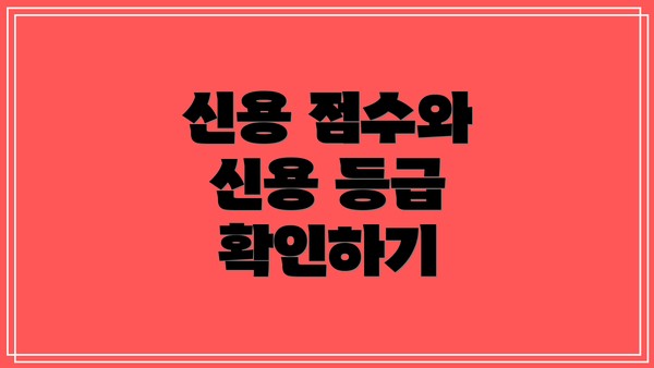 신용 점수와 신용 등급 확인하기