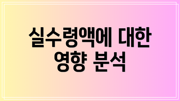 실수령액에 대한 영향 분석