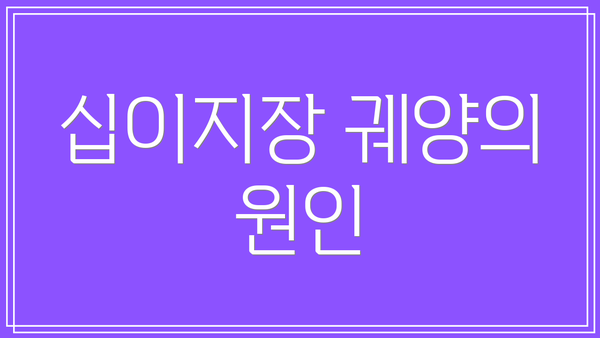 십이지장 궤양의 원인