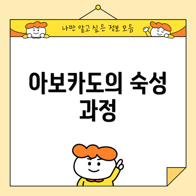 아보카도의 숙성 과정