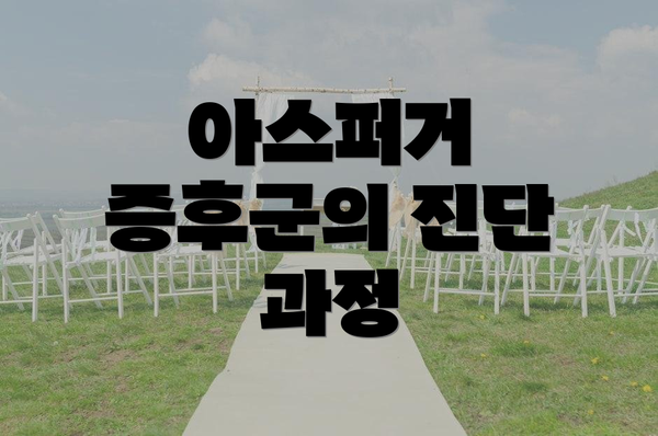 아스퍼거 증후군의 진단 과정