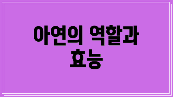아연의 역할과 효능