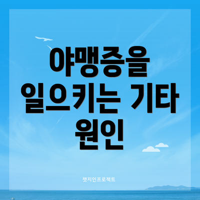 야맹증을 일으키는 기타 원인