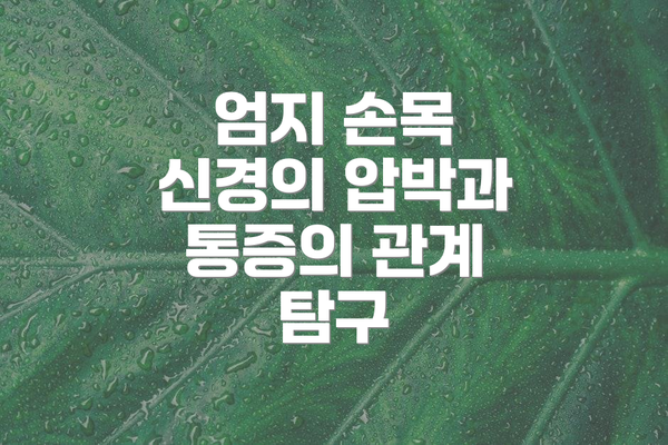 엄지 손목 신경의 압박과 통증의 관계 탐구