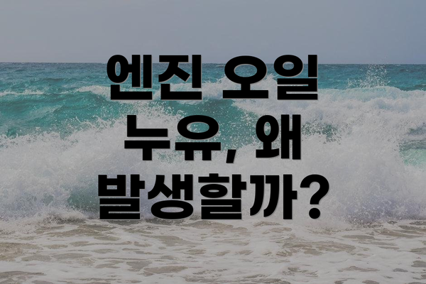 엔진 오일 누유, 왜 발생할까?