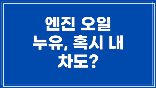 엔진 오일 누유, 혹시 내 차도?