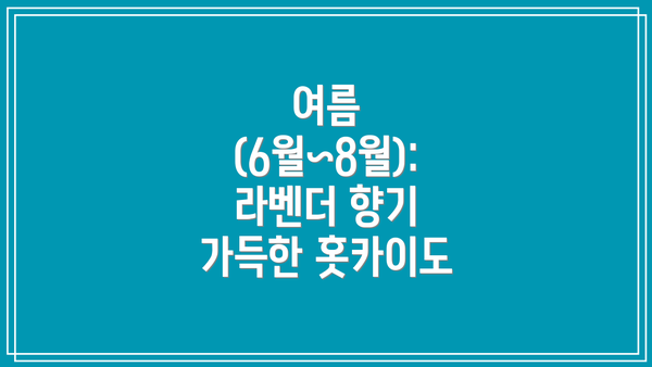 여름 (6월~8월): 라벤더 향기 가득한 홋카이도