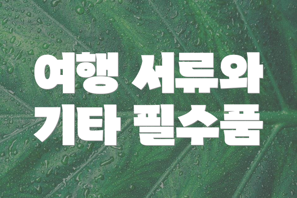 여행 서류와 기타 필수품