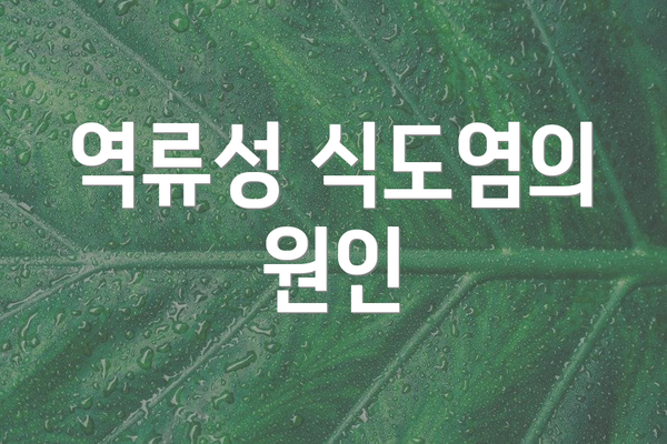 역류성 식도염의 원인