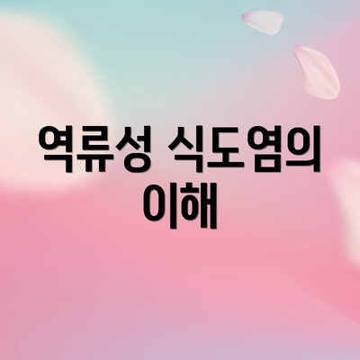 역류성 식도염의 이해