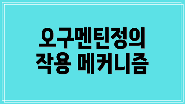 오구멘틴정의 작용 메커니즘