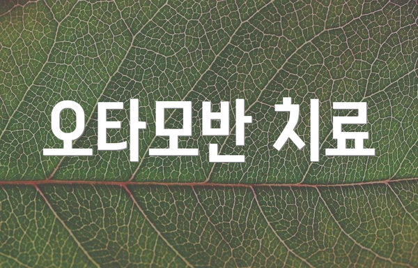 오타모반 치료