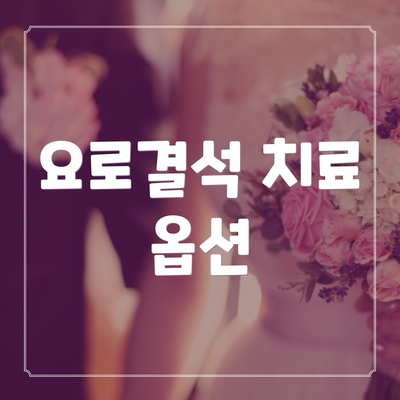 요로결석 치료 옵션