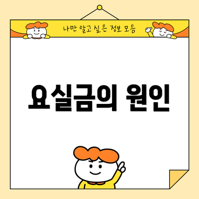 요실금의 원인