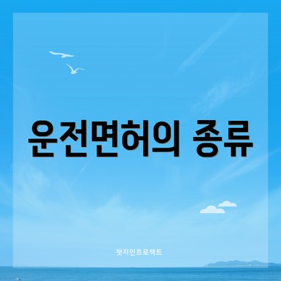 운전면허의 종류