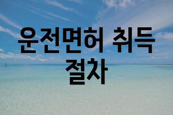 운전면허 취득 절차