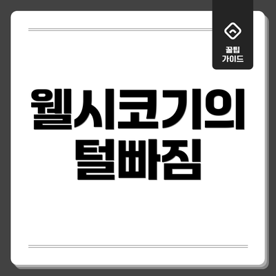 웰시코기의 털빠짐