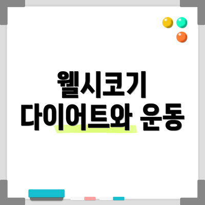웰시코기 다이어트와 운동