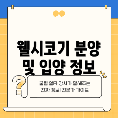 웰시코기 분양 및 입양 정보