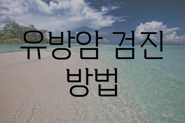 유방암 검진 방법