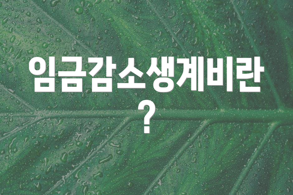 임금감소생계비란?