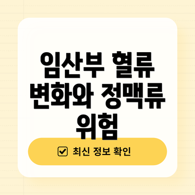 임산부 혈류 변화와 정맥류 위험