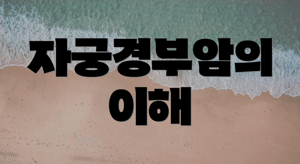 자궁경부암의 이해