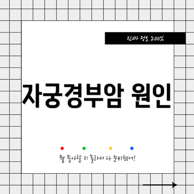 자궁경부암 원인