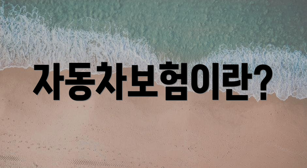 자동차보험이란?