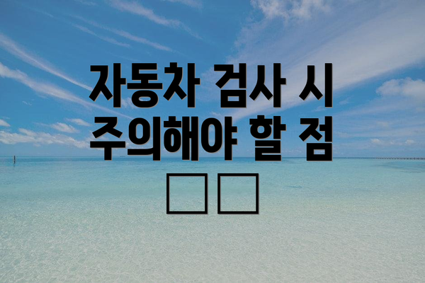 자동차 검사 시 주의해야 할 점 ⚠️