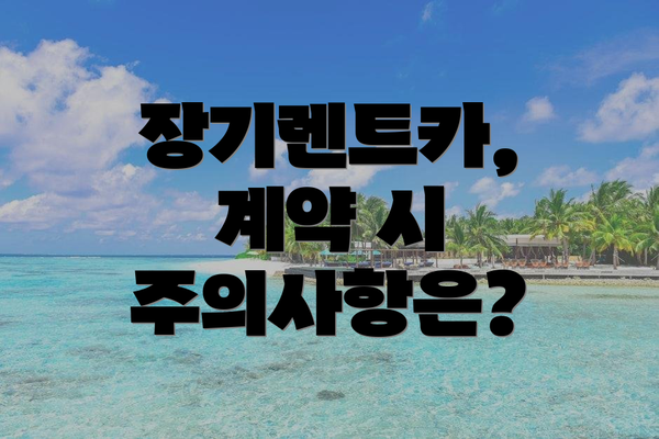 장기렌트카, 계약 시 주의사항은?